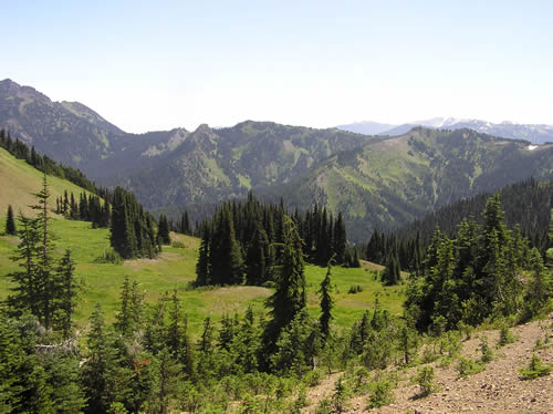 View of forest and ridges